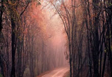 九游APP-丹麦绝杀莱比锡红牛,莫德里奇扛起全队