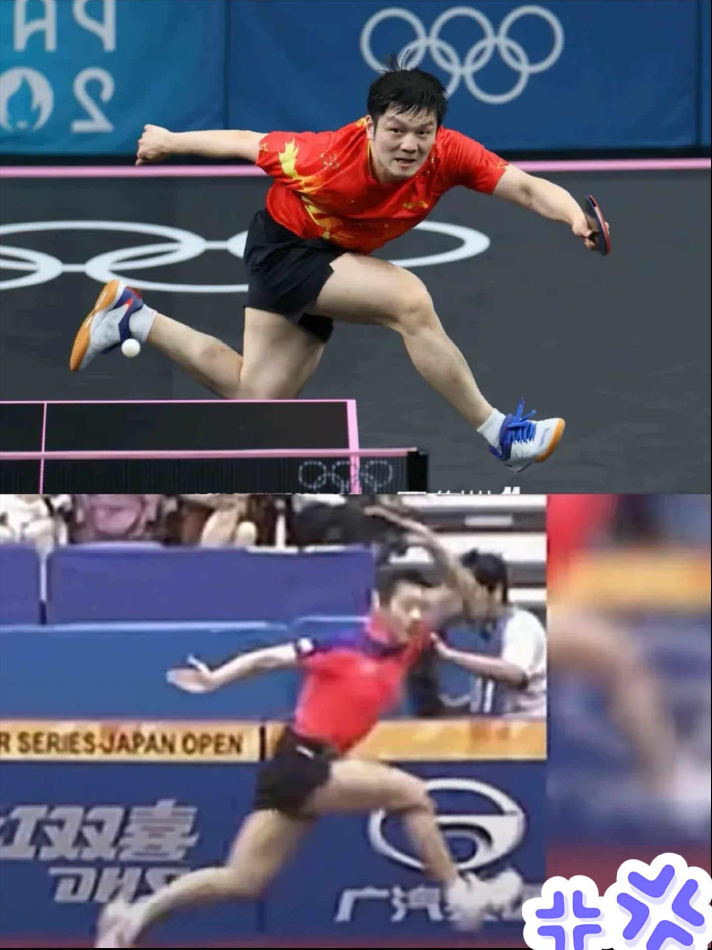 九游体育-德国队横扫奥地利队,许昕惊艳四座