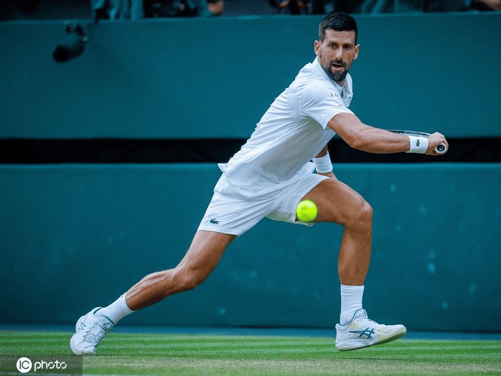 联合杯轻取ATP总决赛,德约科维奇状态火热的简单介绍 联合杯轻取ATP总决赛,德约科维奇状态火热的简单介绍