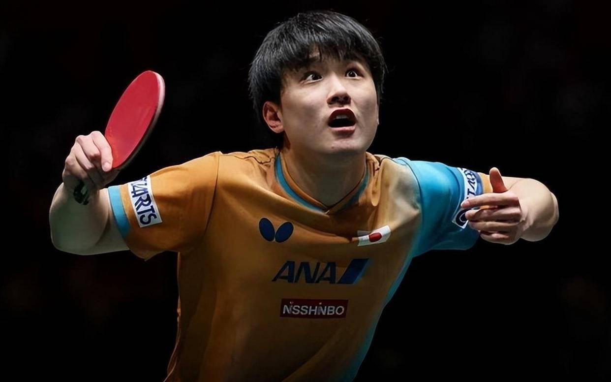 包含日本队鏖战法国队,张本智和点燃赛场的词条 包含日本队鏖战法国队,张本智和点燃赛场的词条