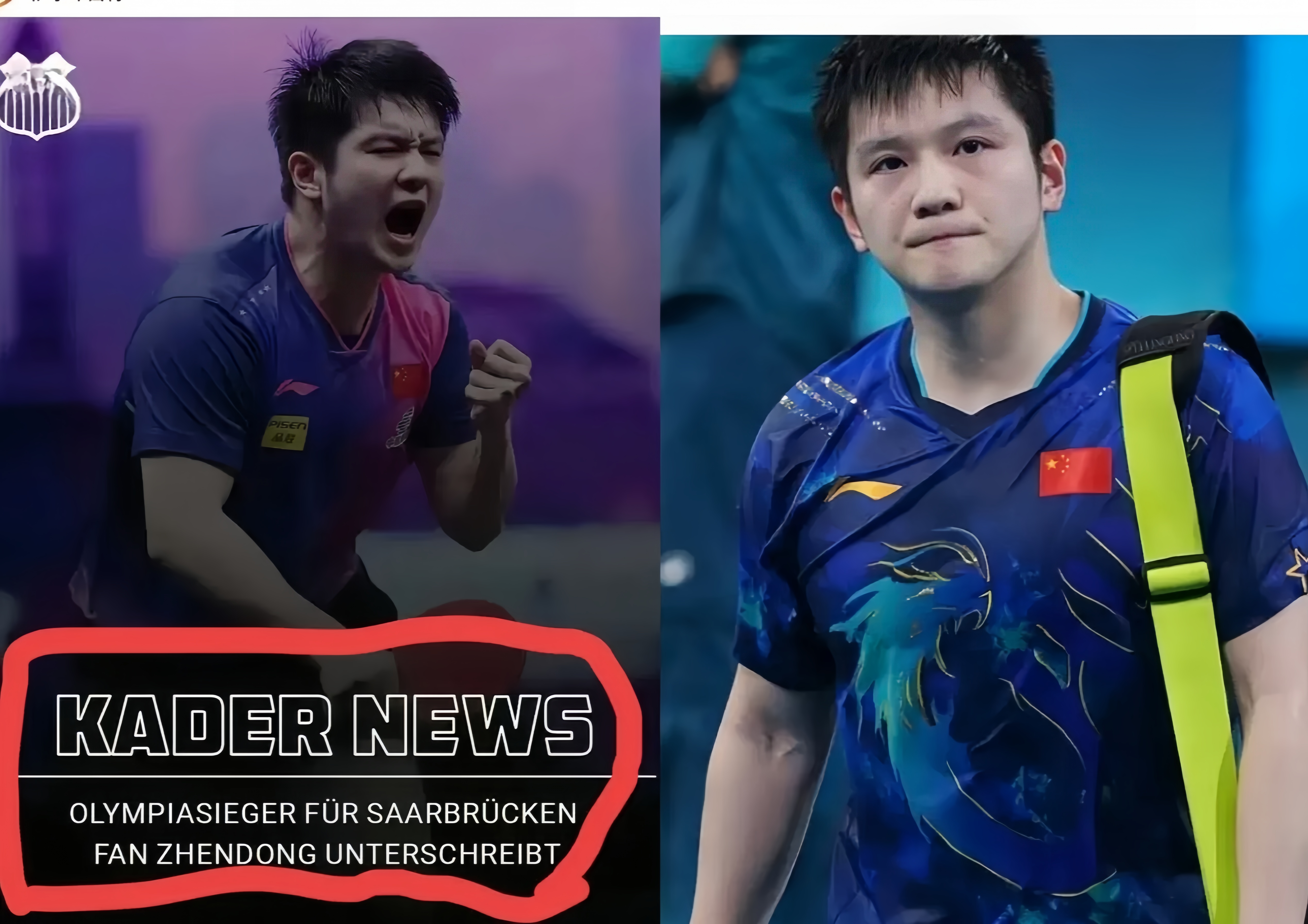 德国队力克中国队，樊振东高光表现的简单介绍