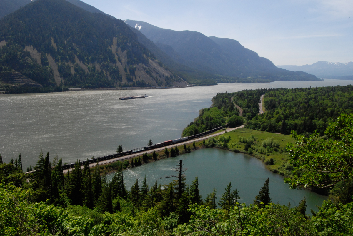 哥伦比亚绝杀美国，奥利维耶扛起全队